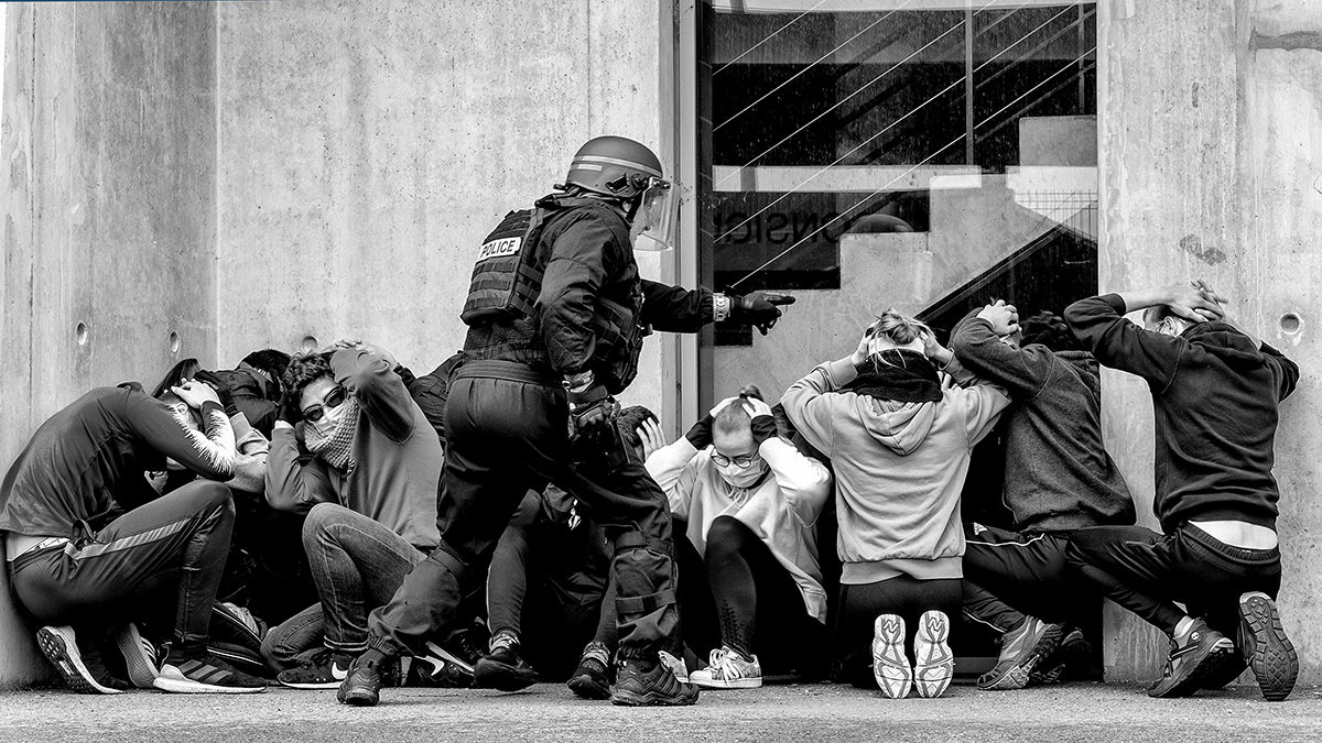 0002 Félines Sentinelles Nb